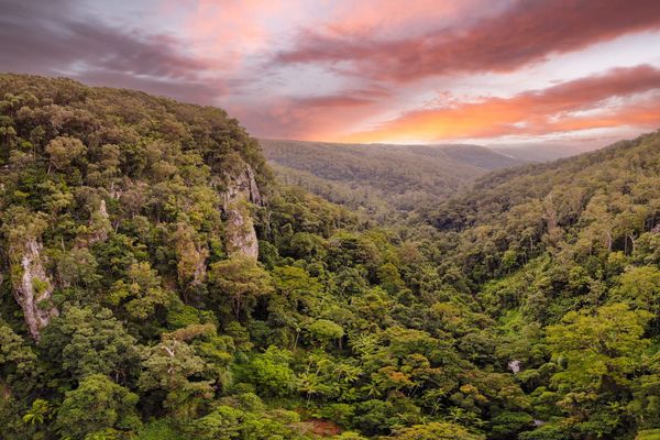 Spring brook National park - Hinterland.jpg